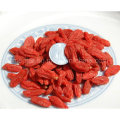 Sol Secado Goji Berry (Wolfberry)